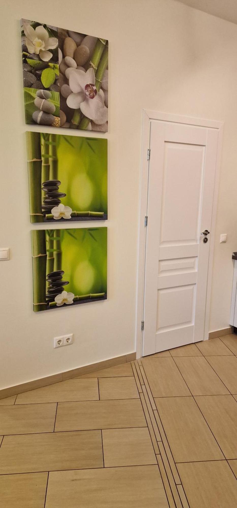 Palanga Apartaments - Mickeviciaus 8 外观 照片